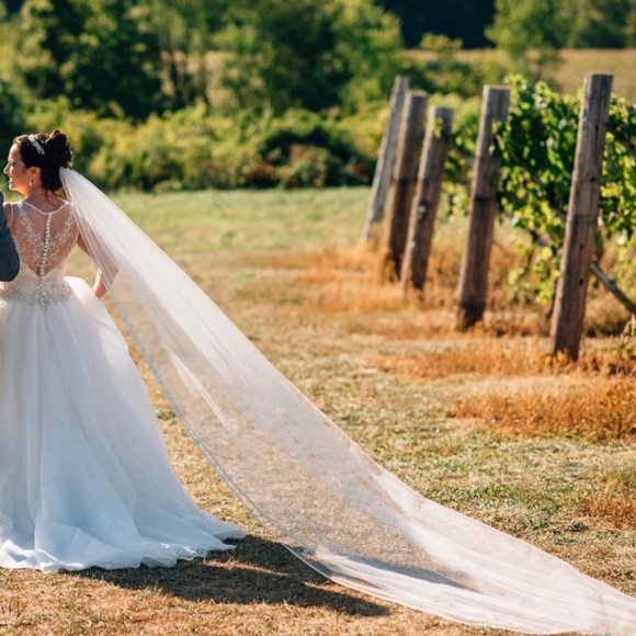 Pronovias Barcelona ballgown - Picture 3 of 8